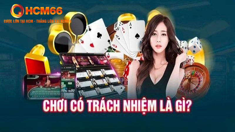 Sơ lược về chơi có trách nhiệm