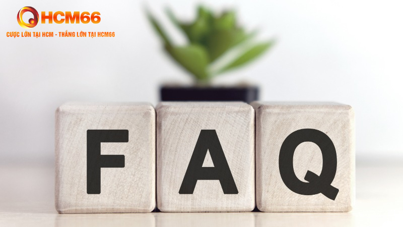 FAQ - Những câu hỏi thắc mắc khi đăng ký HCM66